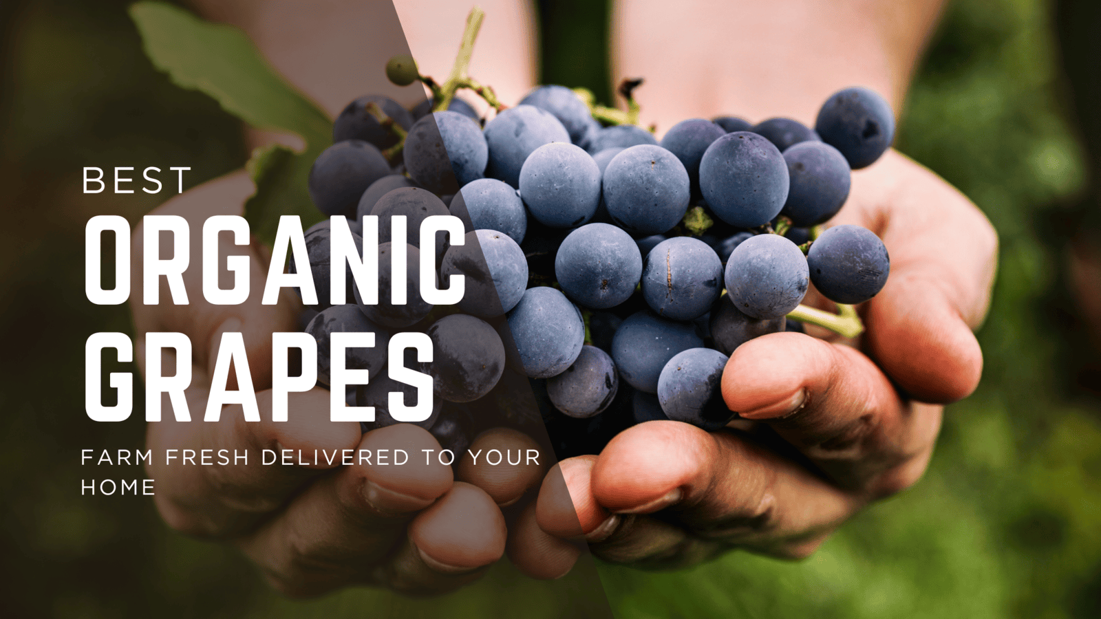 Enter your post title